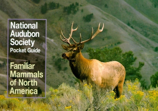 National Audubon Society Pocket Guide to Familiar Mammals by National Audubon Society