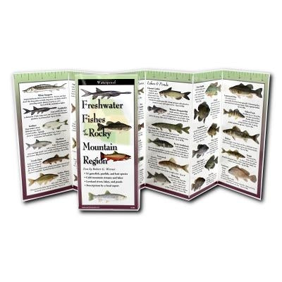 Freshwater Fishes of the Rocky Mountain Region by Werner, Robert G.