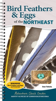 Bird Feathers & Eggs of the Northeast: Identify 40 Species of Common Backyard Birds by Tekiela, Stan