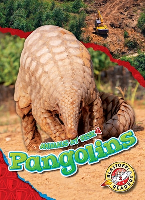 Pangolins by Grack, Rachel