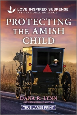 Protecting the Amish Child by Lynn, Dana R.