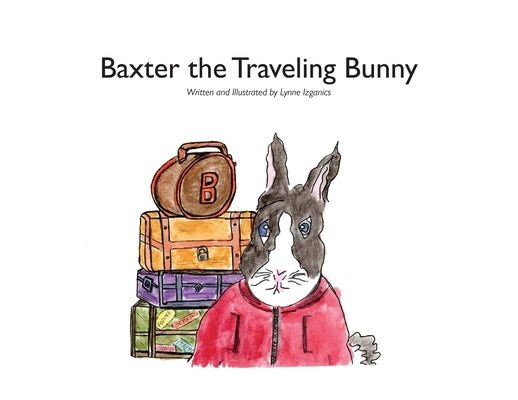 Baxter the Traveling Bunny by Izganics, Lynne