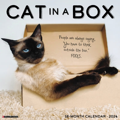 Cat in a Box 2024 12 X 12 Wall Calendar by Willow Creek Press