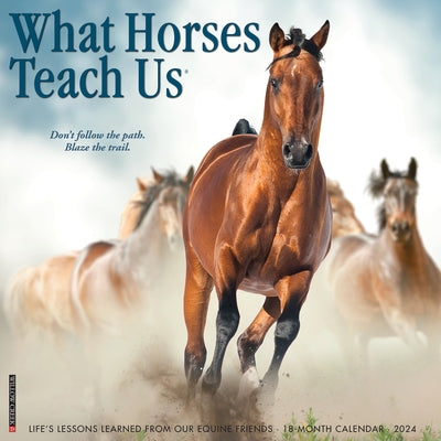 What Horses Teach Us 2024 12 X 12 Wall Calendar by Willow Creek Press