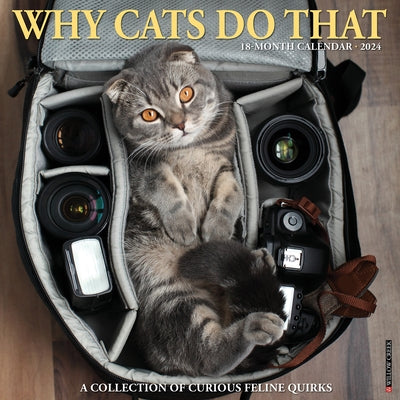 Why Cats Do That 2024 12 X 12 Wall Calendar by Willow Creek Press