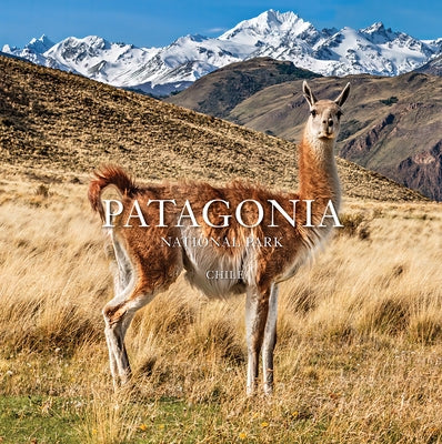 Patagonia National Park: Chile: Chile by Tompkins, Kristine McDivitt