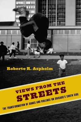 Views from the Streets: The Transformation of Gangs and Violence on Chicago's South Side by Aspholm, Roberto