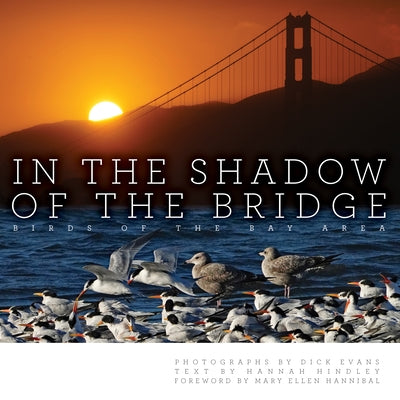 In the Shadow of the Bridge: Birds of the Bay Area by Evans, Dick