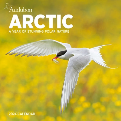 Audubon Arctic Wall Calendar 2024: A Year of Stunning Polar Nature by Workman Calendars