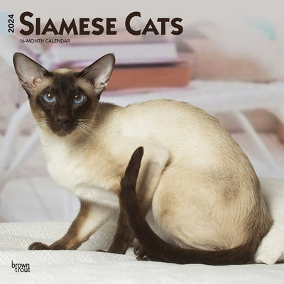 Siamese Cats 2024 Square by Browntrout