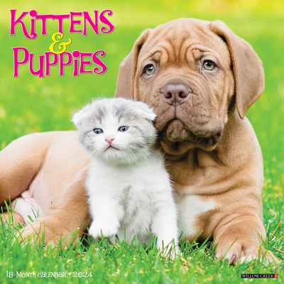 Kittens & Puppies 2024 12 X 12 Wall Calendar by Willow Creek Press