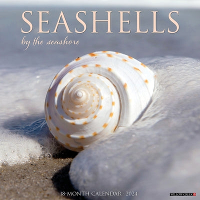 Seashells 2024 12 X 12 Wall Calendar by Willow Creek Press