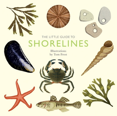 The Little Guide to Shorelines by Davies, Alison