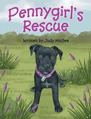 Pennygirl's Rescue by McGee, Judy