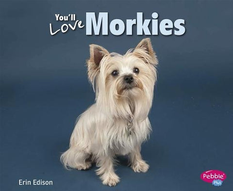 You'll Love Morkies by Saunders-Smith, Gail