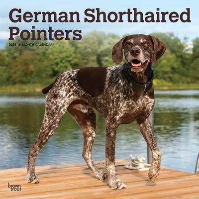 German Shorthaired Pointers 2024 Square by Browntrout