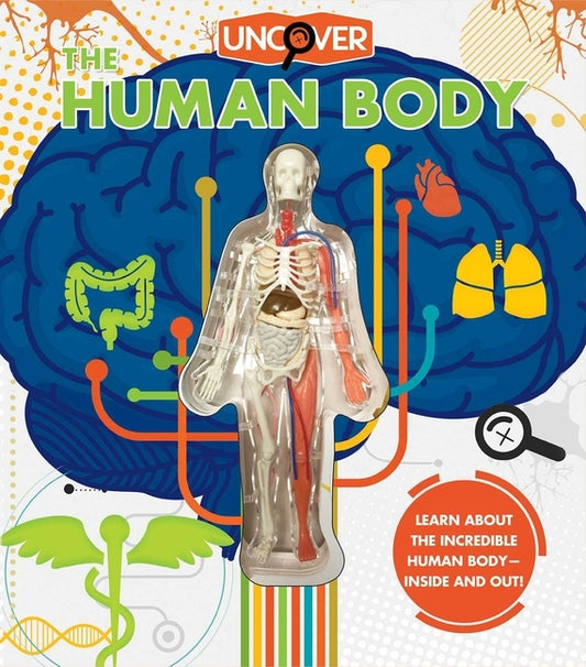 Uncover the Human Body by Colombo, Luann