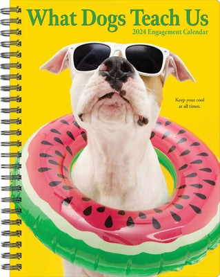 What Dogs Teach Us 2024 6.5 X 8.5 Engagement Calendar by Willow Creek Press