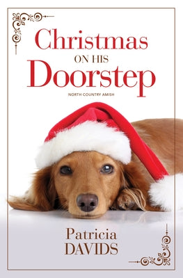 Christmas on His Doorstep by Davids, Patricia