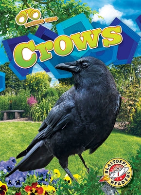 Crows by Barnes, Rachael