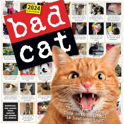 Bad Cat Wall Calendar 2024: Celebrating the Misfits of the Feline World by Workman Calendars