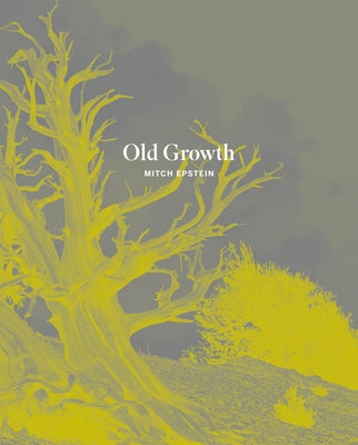 Mitch Epstein: Old Growth by Epstein, Mitch