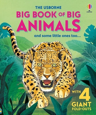 Big Book of Big Animals by Maskell, Hazel