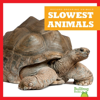 Slowest Animals by Austen, Lily