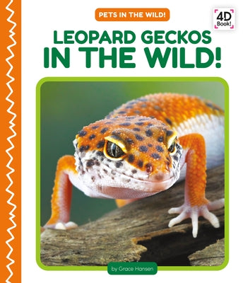 Leopard Geckos in the Wild! by Hansen, Grace