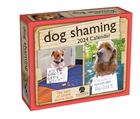 Dog Shaming 2024 Day-To-Day Calendar by Lemire, Pascale