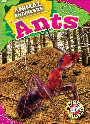 Ants by Pettiford, Rebecca