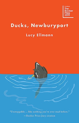 Ducks, Newburyport by Ellmann, Lucy