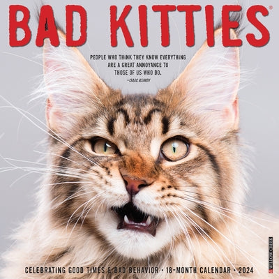 Bad Kitties 2024 12 X 12 Wall Calendar by Willow Creek Press