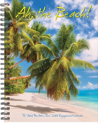 Ah, the Beach! 2025 6.5 X 8.5 Engagement Calendar by Willow Creek Press