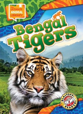 Bengal Tigers by Bowman, Chris