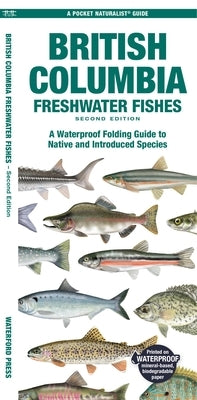 British Columbia Freshwater Fishes: A Folding Guide to Native and Introduced Species by Morris, Matthew