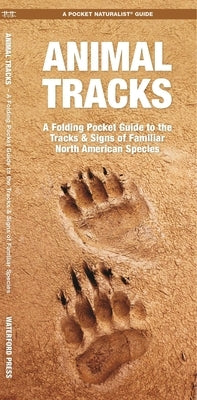 Animal Tracks by Kavanagh, James