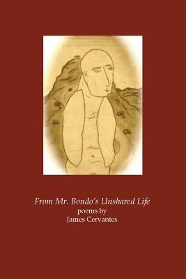 From Mr. Bondo's Unshared Life by Cervantes, James