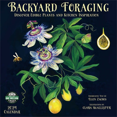 Backyard Foraging 2024 Wall Calendar: Discover Edible Plants and Kitchen Inspiration by Ellen Zachos by Amber Lotus Publishing