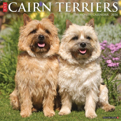 Just Cairn Terriers 2024 12 X 12 Wall Calendar by Willow Creek Press