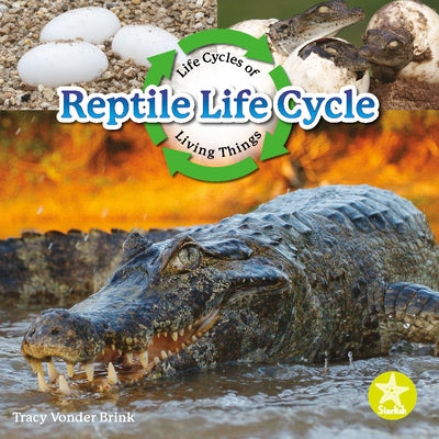 Reptile Life Cycle by Vonder Brink, Tracy