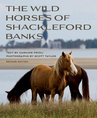 Wild Horses of Shackleford Banks by Prioli, Carmine