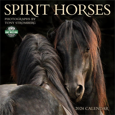 Spirit Horses 2024 Wall Calendar: By Tony Stromberg by Amber Lotus Publishing