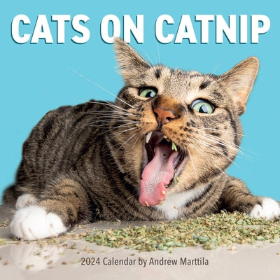 Cats on Catnip Wall Calendar 2024: A Year of Cats Living the High Life and Feeling Niiiiice by Marttila, Andrew