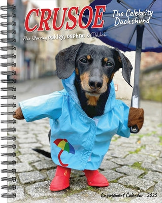 Crusoe the Celebrity Dachshund 2025 6.5 X 8.5 Engagement Calendar by Ryan Beauchesne