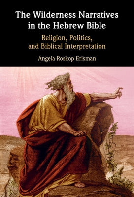 The Wilderness Narratives in the Hebrew Bible: Religion, Politics, and Biblical Interpretation by Erisman, Angela Roskop