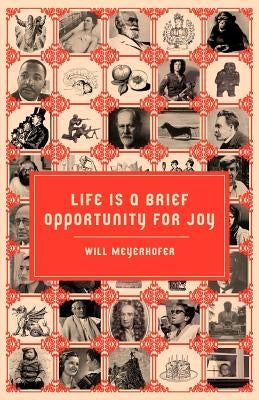 Life is a Brief Opportunity for Joy by Meyerhofer, Will