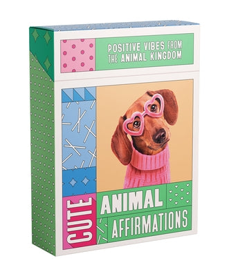 Cute Animal Affirmations: Positive Vibes from the Animal Kingdom by Smith Street Books