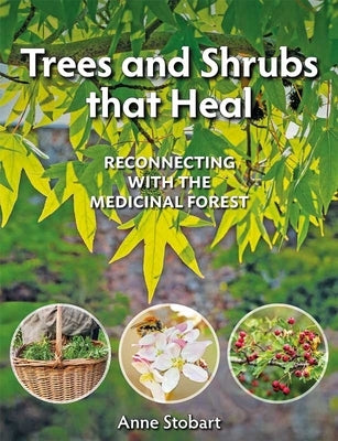 Trees and Shrubs That Heal: Reconnecting with the Medicinal Forest by Stobart, Anne