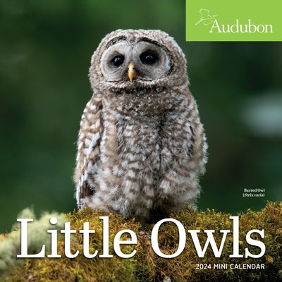 Audubon Little Owls Mini Wall Calendar 2024: A Year of Fluffy and Round Owls by Workman Calendars